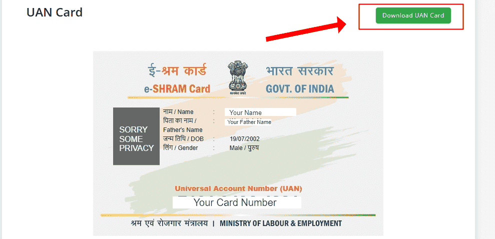 श्रम कार्ड How to Download E Shram E Shramik Card DOWNLOAD UAN CARD